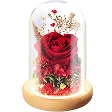 Rosa Romántica con Luces LED en Cúpula